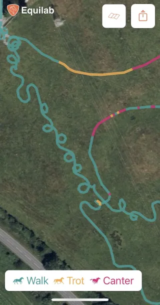 Going Around The Bend! Riding the Anxious, Strong or Excitable Horse in Open Countryside