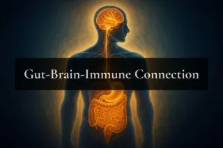 Gut-Brain-Immune Connection