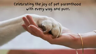 Pet Trust & Care Directives 