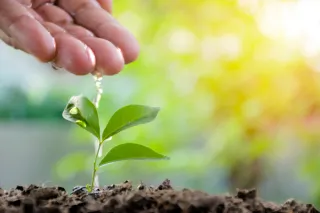 Unleashing Your Holistic Health Business Potential: A Proven 7-Step Blueprint for Success