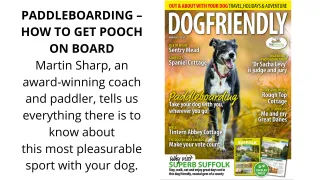 Featured in DogFriendly Magazine talking about Paddleboarding with Dogs