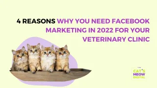 4 Reasons Why You Need Facebook Marketing in 2022 for your Veterinary Clinic