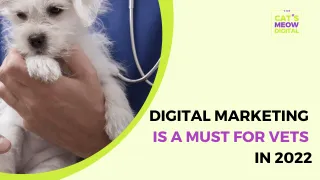 Digital Marketing Is a Must for Vets in 2022