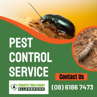 Choosing Reliable Pest Control Services