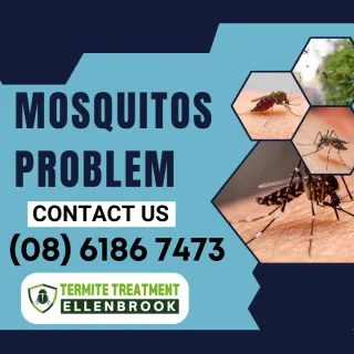 Mosquitos and Carpenter Bees