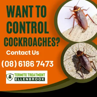 Cockroach Control in Ellenbrook