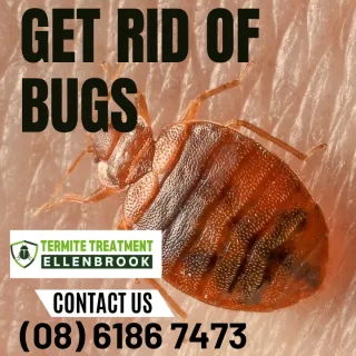 THE BUG LIFE