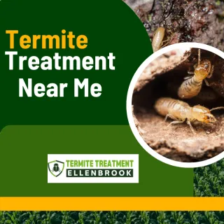 Licensed Termite Treatment Near Me: How to Find Trusted Experts