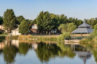 🌳Lake Vibes & Chill Times: Why Lake Arbor Park is Arvada’s Favorite Backyard Escape