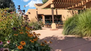 🌄 Majestic View Open Space: Where Arvada Shows Off Its Wild Side