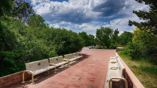 🦉 Discover the Wildlife Experience at Arvada – Nature Meets Curiosity!