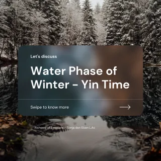 Winter Yin Time - Slow Time in The Water Phase.