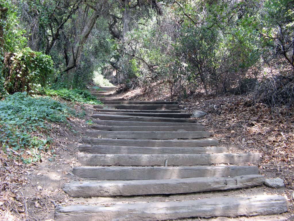 Events and Festivals Near Covina: How a Rental Car Makes It Easier — Classy Lux Car Rental, Covina, CA 🎉🚗