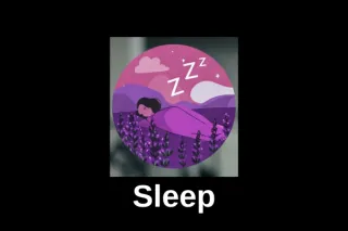 The 4 Horsemen: Sleep