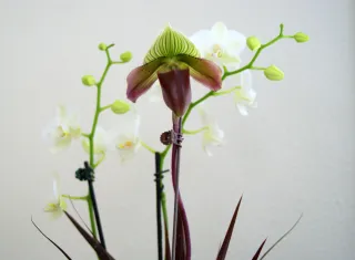 New Blog