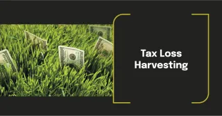 Tax Loss Harvesting