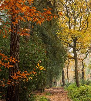 Sutton Park must stay Free for Residents