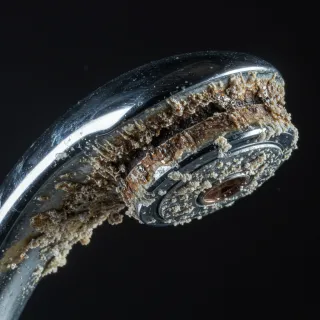 Hard Truths About Hard Water: The Real Cost of Calcium in Your Tap