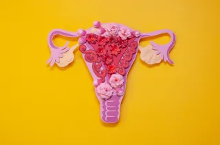 How Weight Loss Can Help Manage Endometriosis