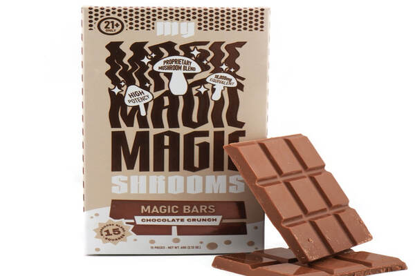 Mushroom Supplements You Can Find at The Green Antidote Smoke Shop