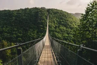 Embrace Clarity: Your Journey to Overcoming Overwhelm