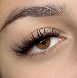 Adornare Lash – Pricing Guide