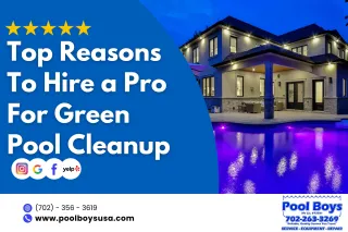 Top Reasons to Hire a Pro for Green Pool Cleanup