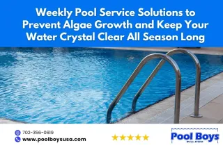 Effective Weekly Pool Service Solutions to Prevent Algae Growth and Keep Your Water Crystal Clear All Season Long
