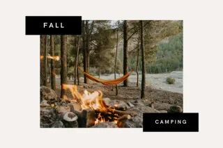 Fall Camping on Vancouver Island