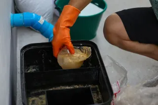 Grease Trap Cleaning: How Often Should You Do It?