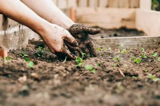 How Does Recycling Cooking Oil Benefit the Environment?