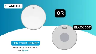 Standard vs. Black Dot: Choosing the Right Snare Drum Head for Your Sound