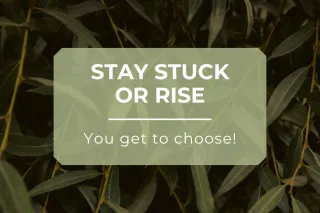 Stay Stuck Where You Are, Or Rise!
