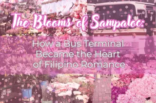 The Blooms of Sampaloc: How a Bus Terminal Became the Heart of Filipino Romance