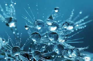 The Science of Transformation: How Changing Your Identity Can Change Your Life
