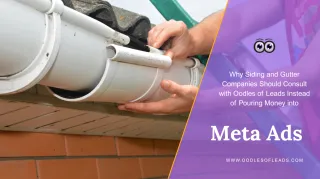 Why Consult with Oodles of Leads Instead of Pouring Money into Meta Ads?