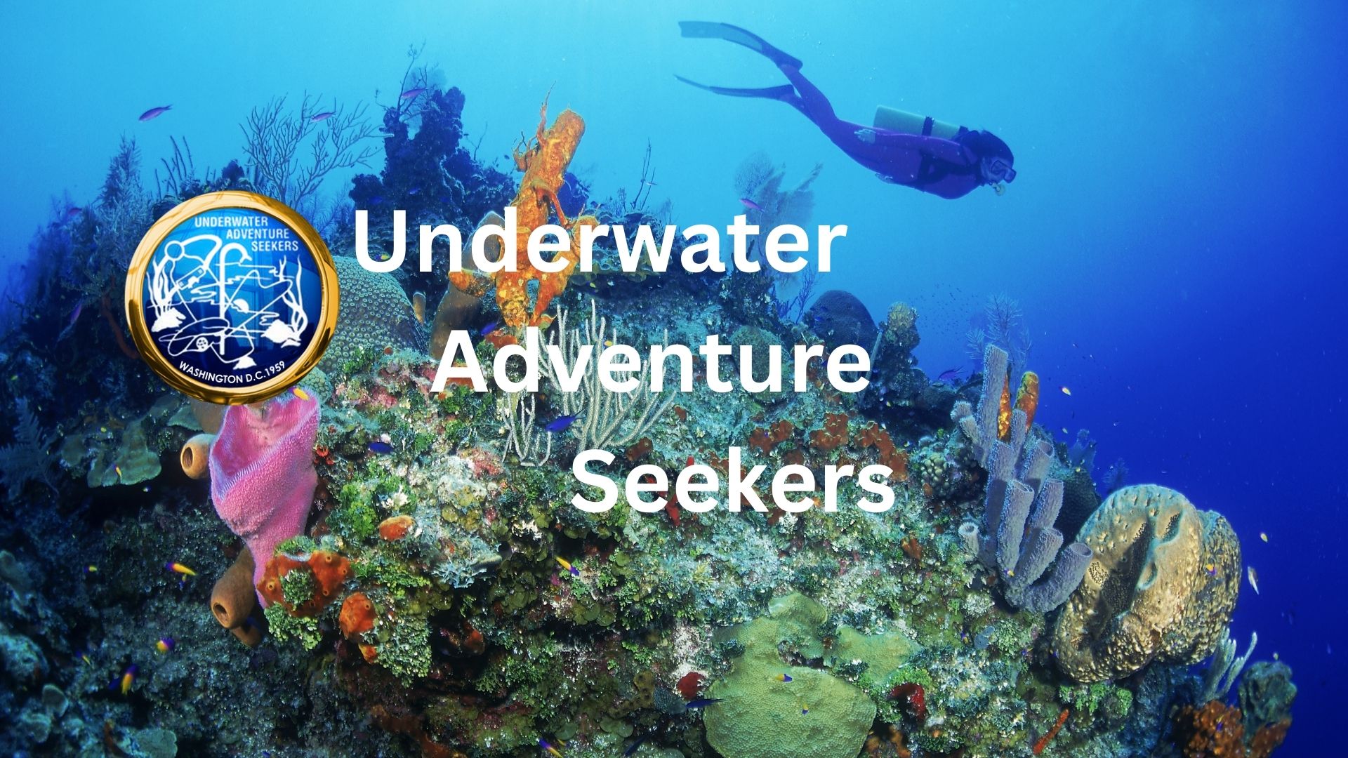 Donald Strong is now a certified PADI Open Water Scuba Instructor!