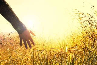 Finding Strength in Stillness: A Prayer for Peace