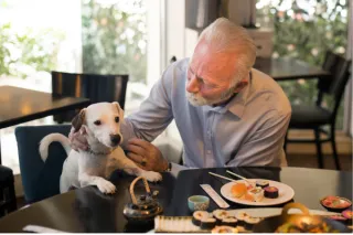 Unleash the Flavor: Top Dog-Friendly Restaurants in Walnut Creek, California!