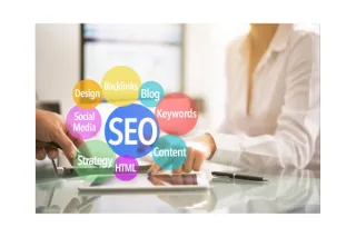Organic SEO for businesses