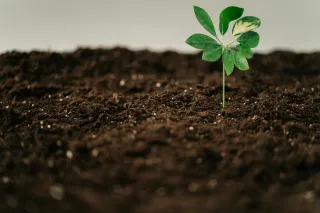 Spring Reset: Reassess, Reprioritize, and Realign Your Goals for 2025