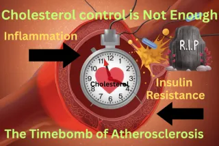 From Cholesterol to Total Risk: Nature’s Answer to What Medicine Has Missed