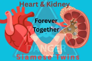 Silent Risks: How Kidney Disease Fuels Heart Disease If you’re a baby boomer or moving through middle age… this may be about you.