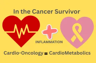 Cardio-Oncology and the Cardiometabolic Responsibilities in the Cancer Survivor