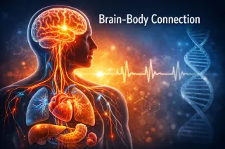 Below the Neck, Above the Neck: How Cardiometabolic Health Shapes the Brain 