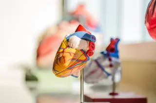 Cardiometabolic Chronicle 