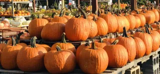 You Will Love How These 6 Halloween Activities For Kids Sneak In Money Lessons