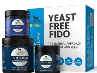 Holistic Aid for Digestive Upsets in Dogs & Cats