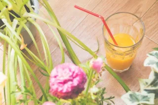 Why Spring 🌷 is the Perfect Time for a Juice Cleanse?