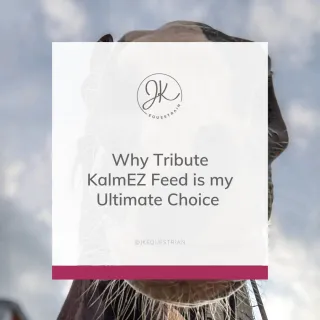 Why Tribute KalmEZ Low NSC FeedFeed is the Ultimate Choice for My Dutch Harness Mare